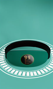 Massage Belt